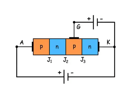 The Structural Design of SCR