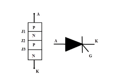 The Structural Design of SCR